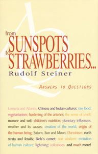 From Sunspots to Strawberries