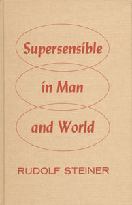 Supersensible in Man and World